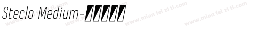 Steclo Medium字体转换